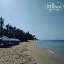 фото из отзыва ID 2094381