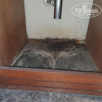 фото из отзыва ID 2094382