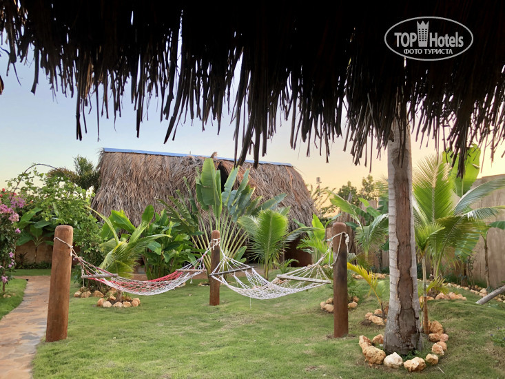 New photos from tourists Chalet Tropical Village B&B 3*