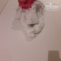 фото из отзыва ID 2094435