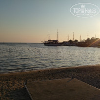 фото из отзыва ID 2094513