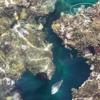 фото из отзыва ID 2094518