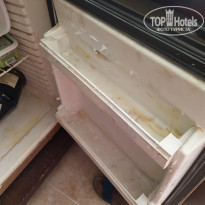 фото из отзыва ID 2094518