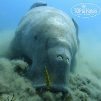 фото из отзыва ID 2094518