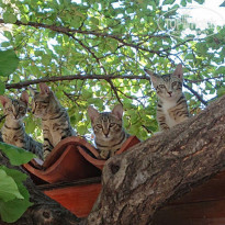 фото из отзыва ID 2094681