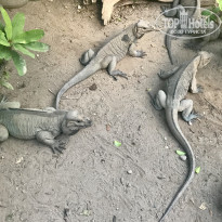 фото из отзыва ID 2094687