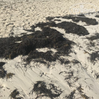 фото из отзыва ID 2094687