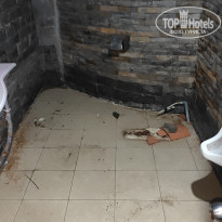 фото из отзыва ID 2094723