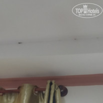 фото из отзыва ID 2094723