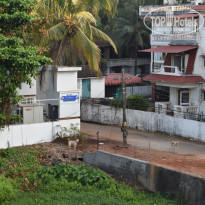 фото из отзыва ID 2094721