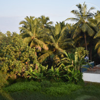 фото из отзыва ID 2094721