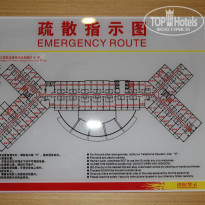 фото из отзыва ID 2094732