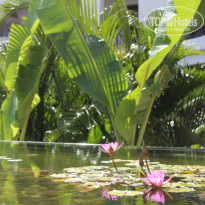 фото из отзыва ID 2094732