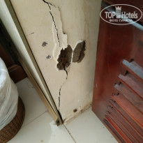 фото из отзыва ID 2094751