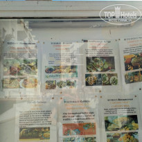 фото из отзыва ID 2094801