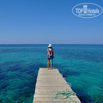 фото из отзыва ID 2094801