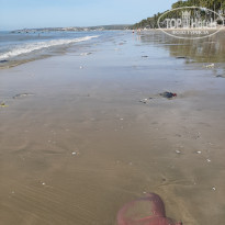 фото из отзыва ID 2094831