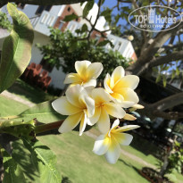 фото из отзыва ID 2094836