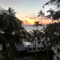 фото из отзыва ID 2094846