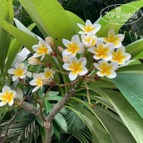 фото из отзыва ID 2094851