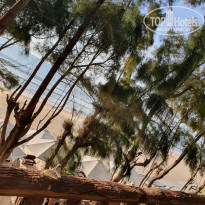 фото из отзыва ID 2094985