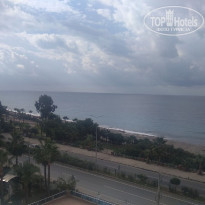 фото из отзыва ID 2095031