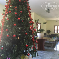 фото из отзыва ID 2095093