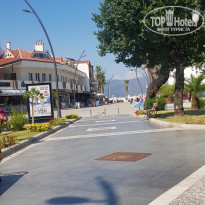 фото из отзыва ID 2095143