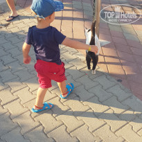 фото из отзыва ID 2095143