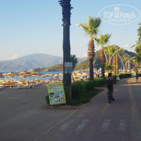 фото из отзыва ID 2095143