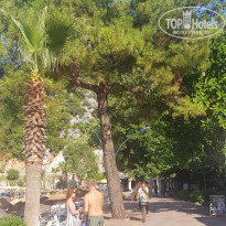 фото из отзыва ID 2095143