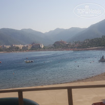 фото из отзыва ID 2095143