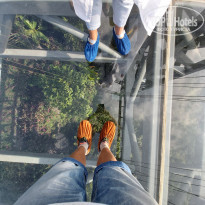 фото из отзыва ID 2095136