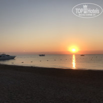 фото из отзыва ID 2095186