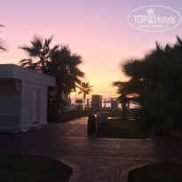 фото из отзыва ID 2095186