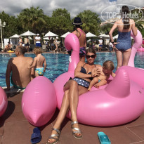 фото из отзыва ID 2095186