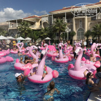 фото из отзыва ID 2095186