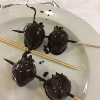 фото из отзыва ID 2095208