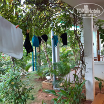 фото из отзыва ID 2095216