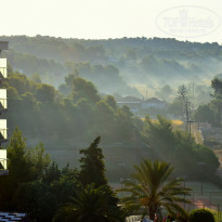 фото из отзыва ID 2095224