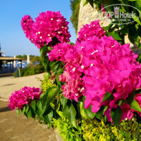 фото из отзыва ID 2095224