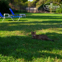 фото из отзыва ID 2095224