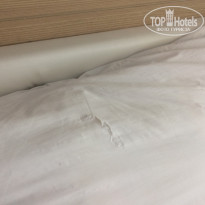 фото из отзыва ID 2095269