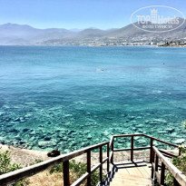 фото из отзыва ID 2095319