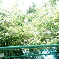 фото из отзыва ID 2095306