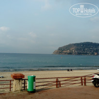 фото из отзыва ID 2095306