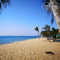 фото из отзыва ID 2095324