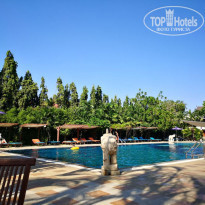 фото из отзыва ID 2095324