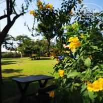 фото из отзыва ID 2095324