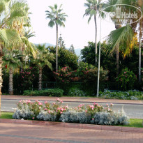 фото из отзыва ID 2095306